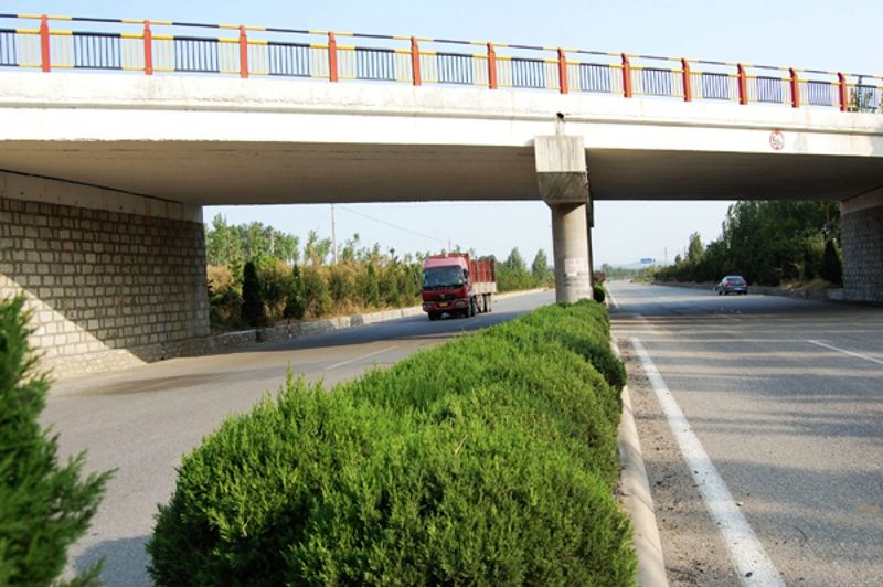 ��Զ�н𱦵���206�߼���