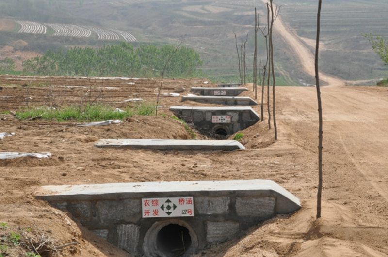 �ҹ�˾�н��ıϹ����еͲ��������Ŀ˳��ͨ���м�����