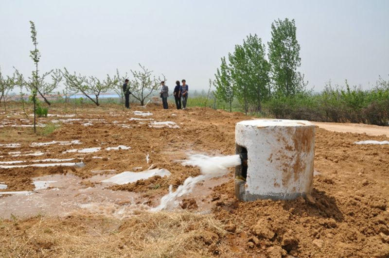 �ҹ�˾�н��ıϹ����еͲ��������Ŀ˳��ͨ���м�����